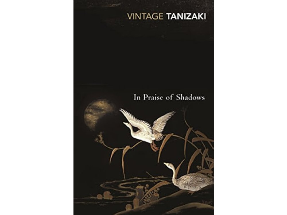 In Praise of Shadows