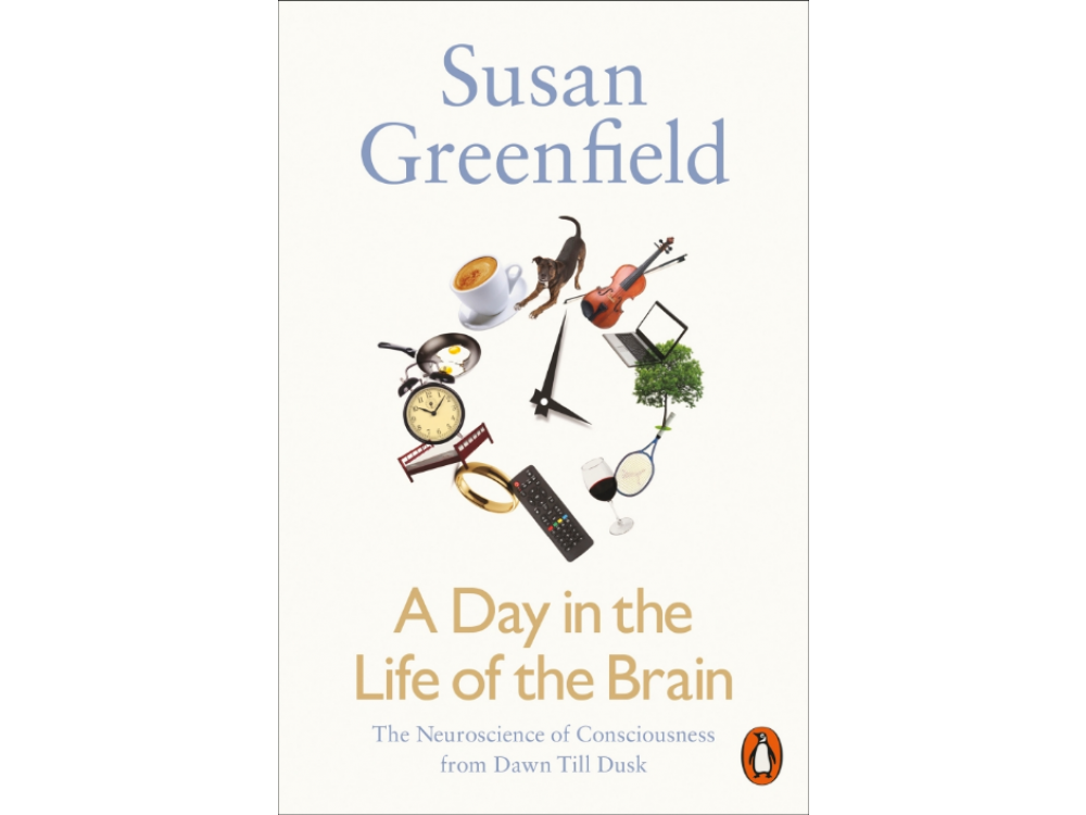 A Day in the Life of the Brain: The Neuroscience of Consciousness from Dawn till Dusk