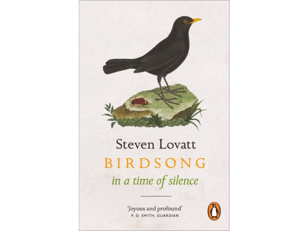 Birdsong in a Time of Silence