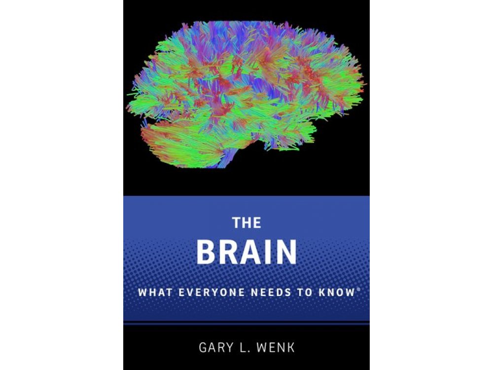 The Brain: What Everyone Needs To Know