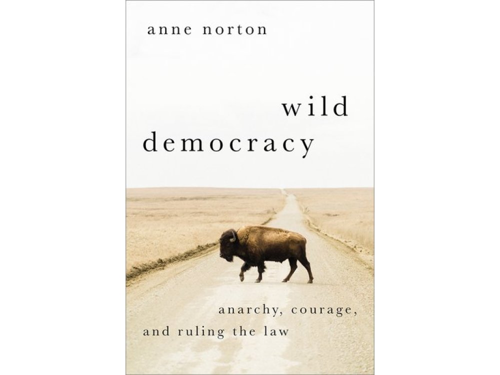 Wild Democracy: Anarchy, Courage, and Ruling the Law