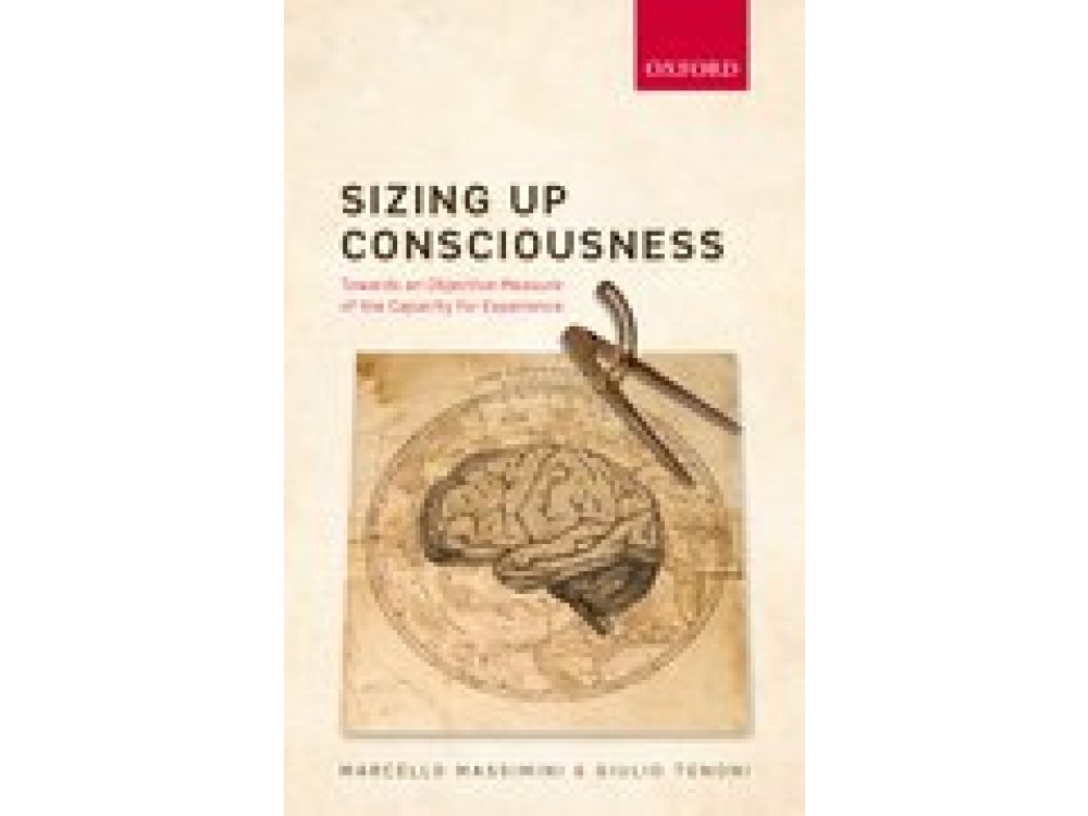 Sizing Up Consciousness: Towards an Objective Measure of the Capacity for Experience