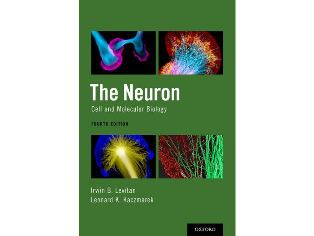 The Neuron: Cell and Molecular Biology