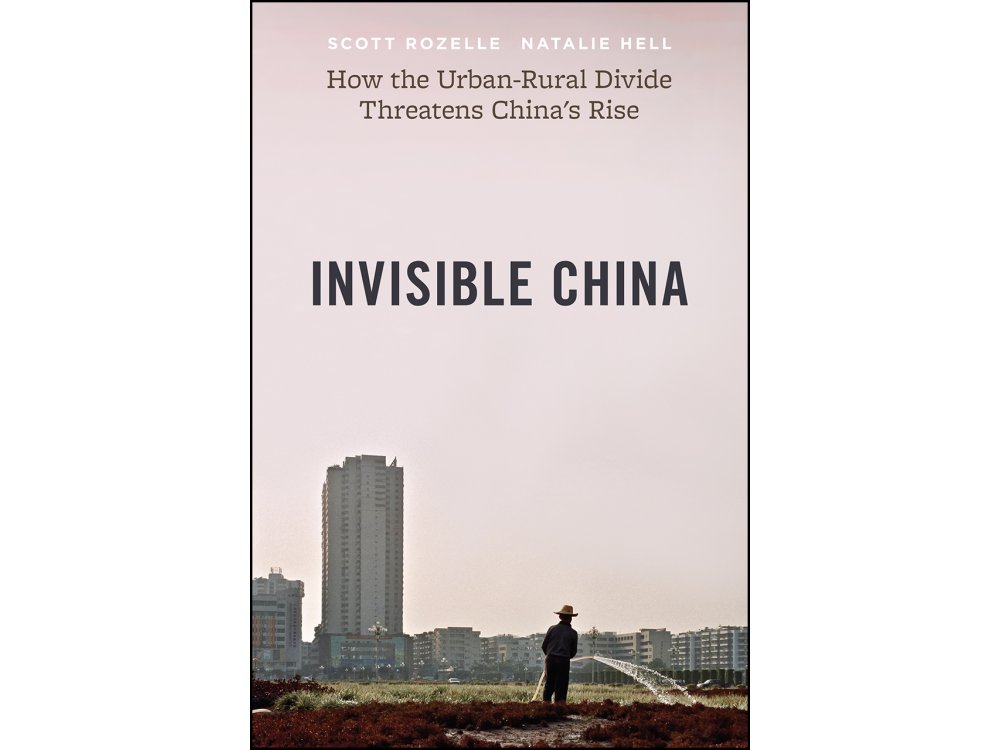 The Invisible China: How the Urban-Rural Divide Threatens China's Rise