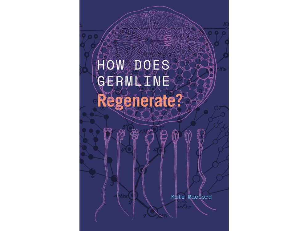 How Does Germline Regenerate?