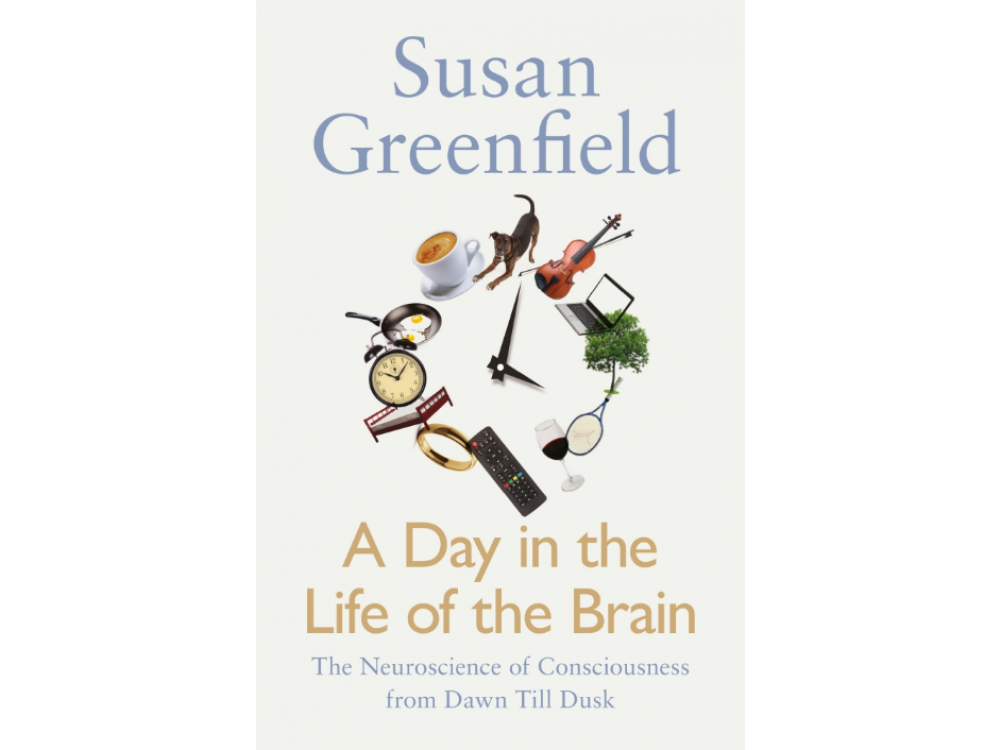 A Day in the Life of the Brain: The Neuroscience of Consciousness from Dawn till Dusk