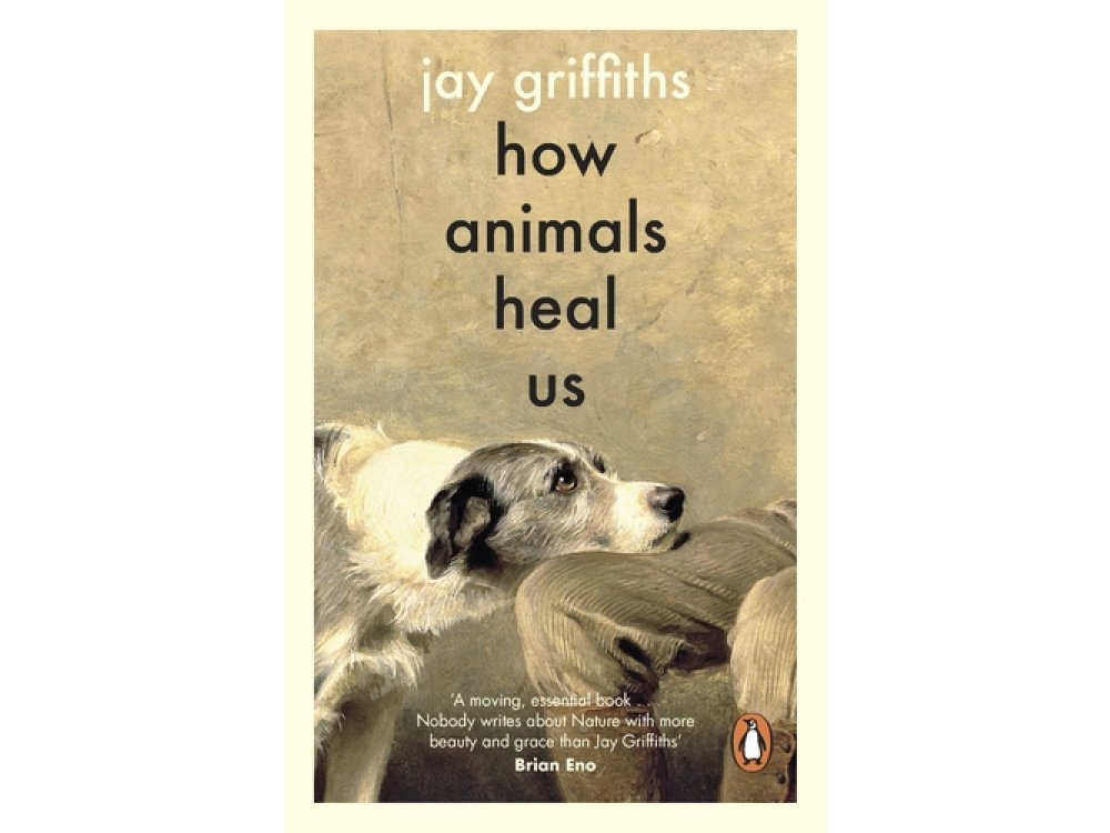 How Animals Heal Us