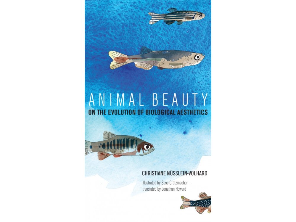 Animal Beauty: On the Evolution of Biological Aesthetics