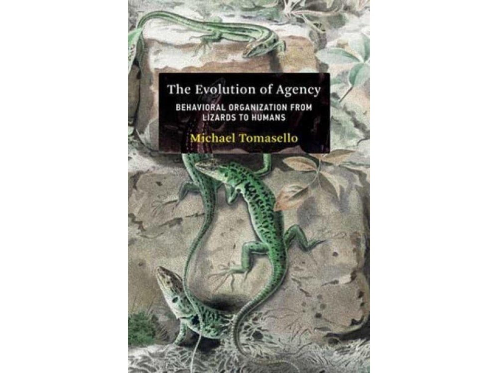 The Evolution of Agency: Behavioral Organization from Lizards to Humans