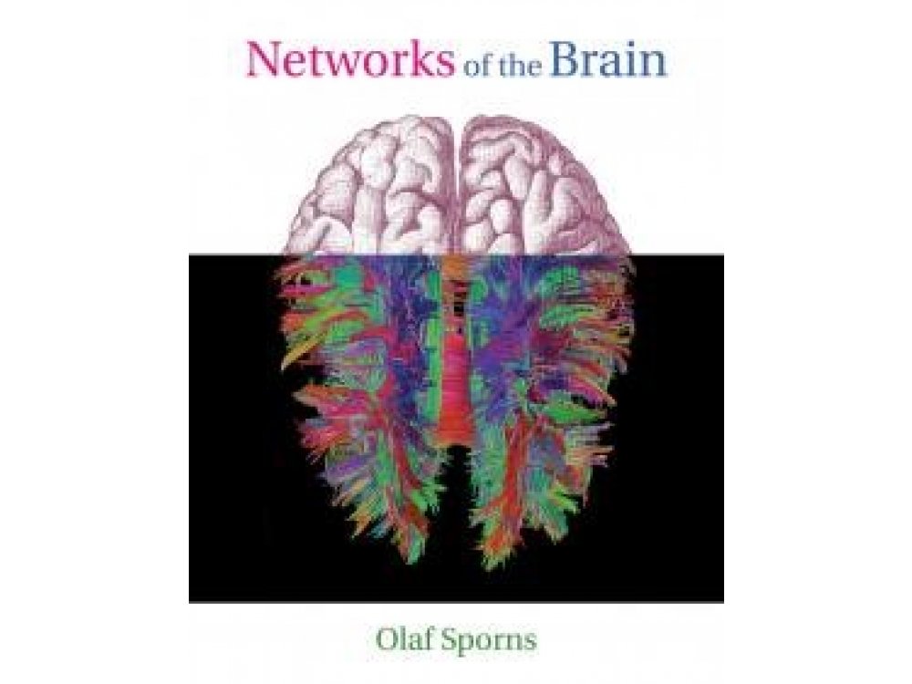 Networks of the Brain