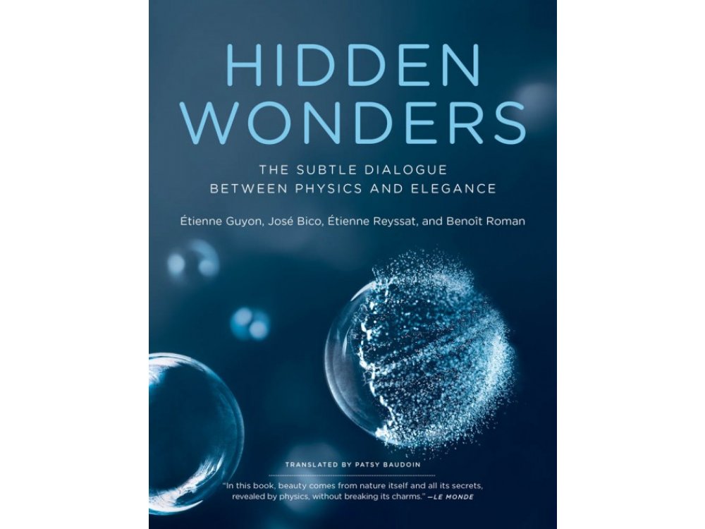 Hidden Wonders: The Subtle Dialogue Between Physics and Elegance