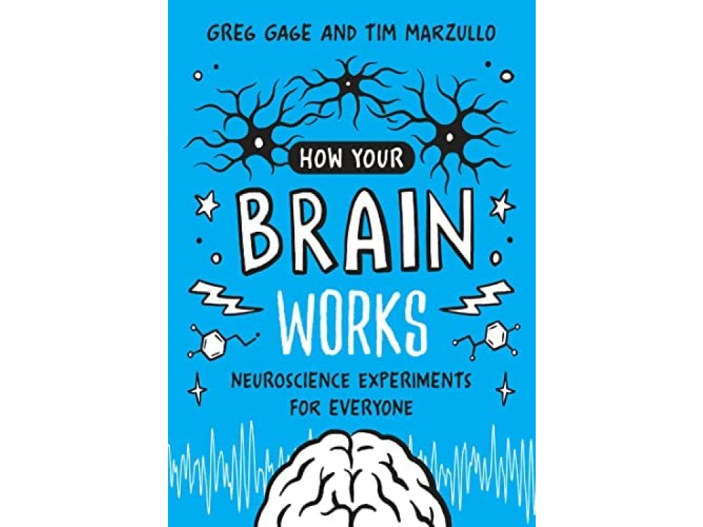 how your brain works neuroscience experiments for everyone pdf