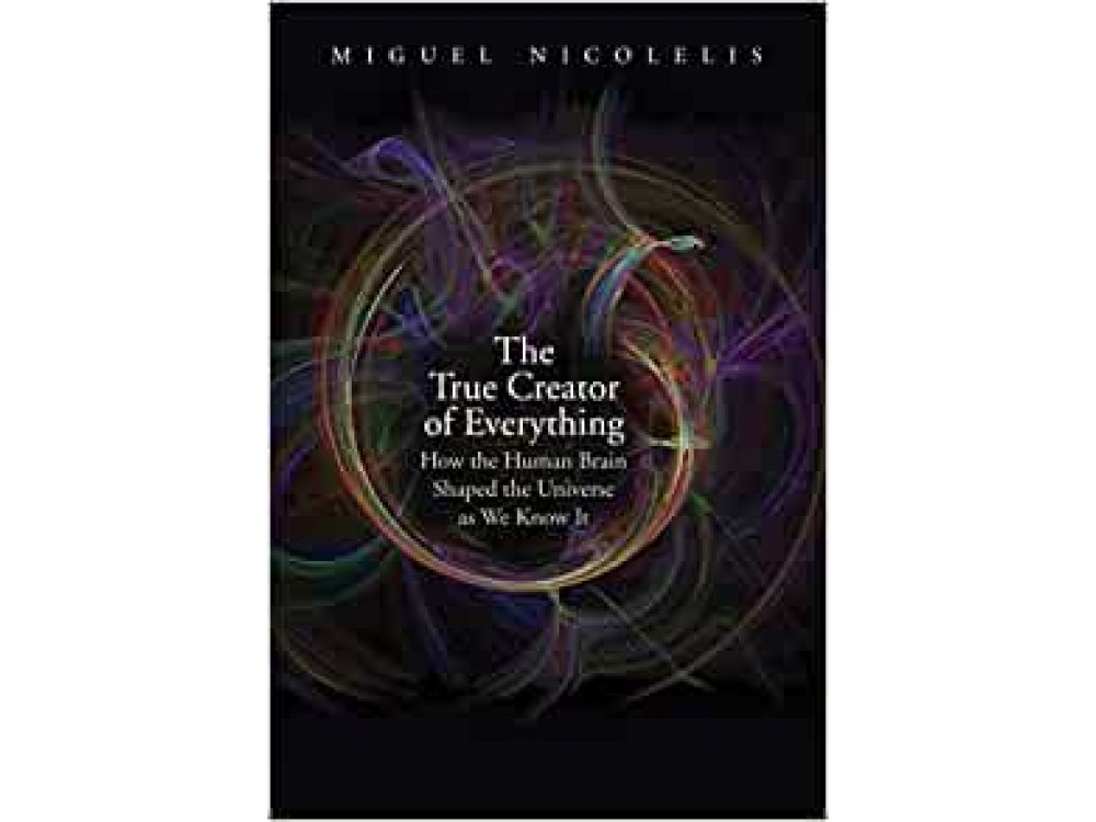 The True Creator of Everything: How the Human Brain Shaped the Universe as We Know It