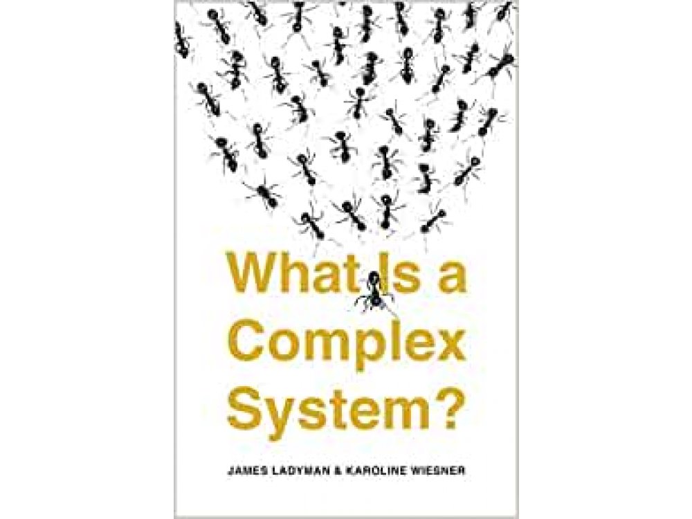 What Is a Complex System?