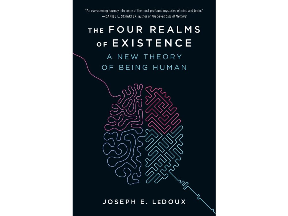 The Four Realms of Existence: A New Theory of Being Human
