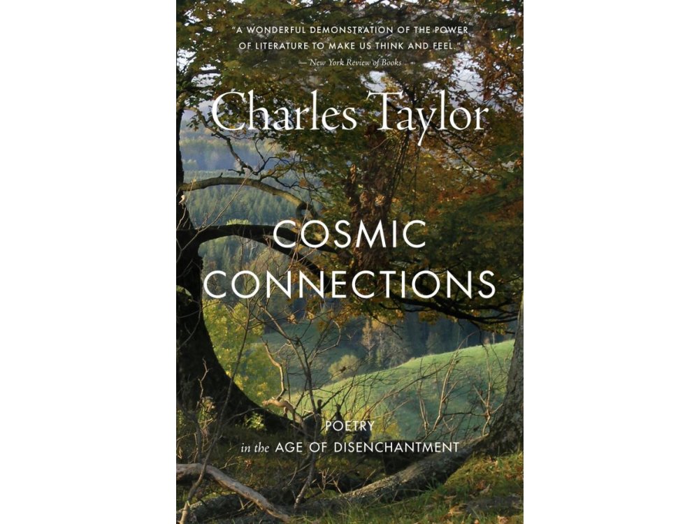 Cosmic Connections: Poetry in the Age of Disenchantment