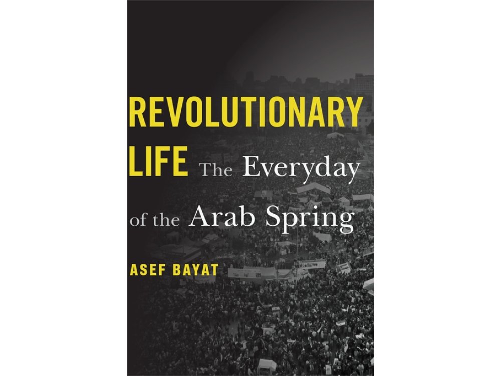 The Revolutionary Life: The Everyday of the Arab Spring