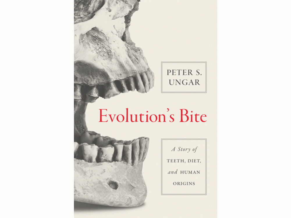 Evolution's Bite: A Story of Teeth, Diet, and Human Origins