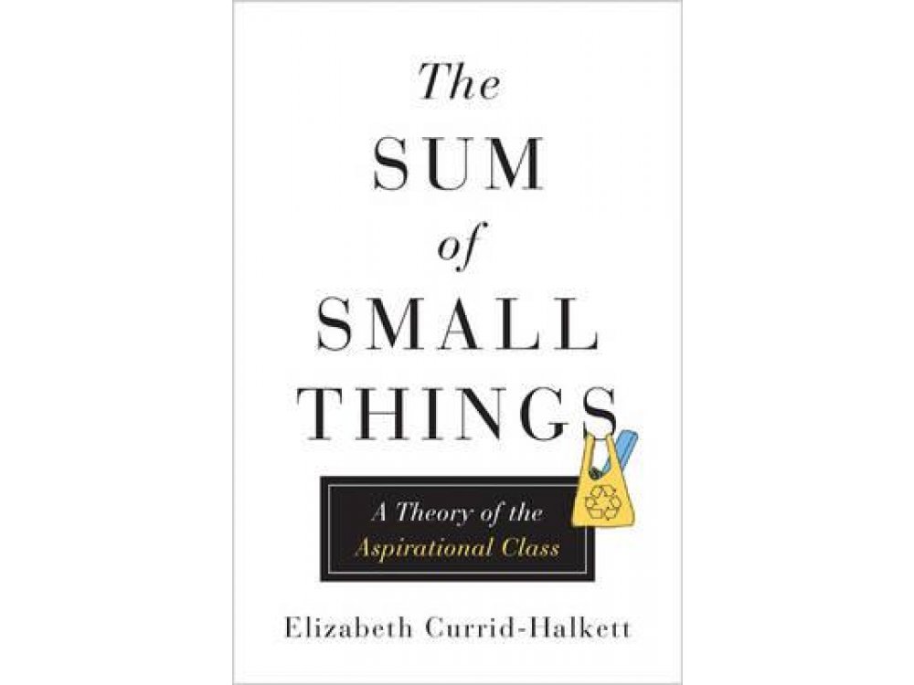 The Sum of Small Things: A Theory of the Aspirational Class