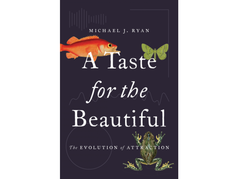 A Taste for the Beautiful: The Evolution of Attraction