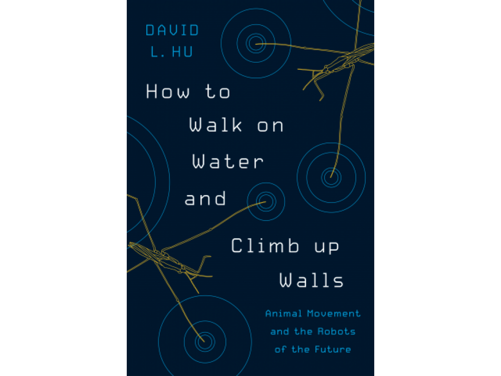 How to Walk on Water and Climb up Walls: Animal Movement and the Robots of the Future