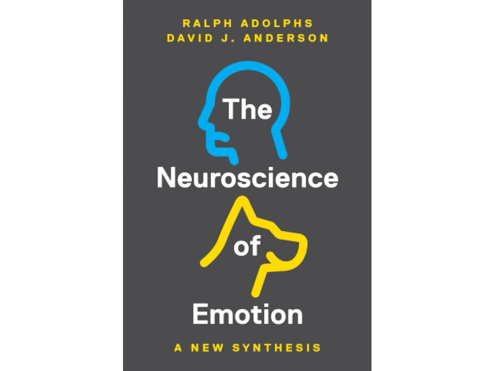 The Neuroscience of Emotion: A New Synthesis