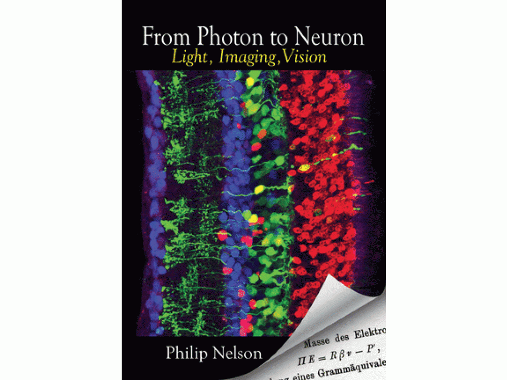 From Photon to Neuron: Light, Imaging, Vision