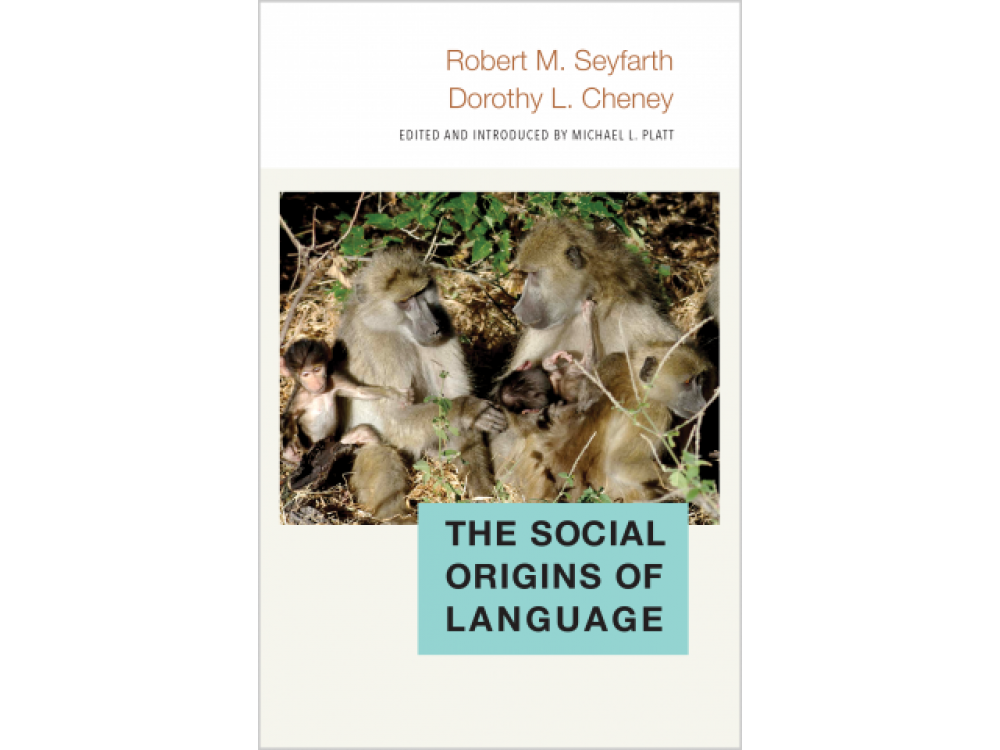 The Social Origins of Language