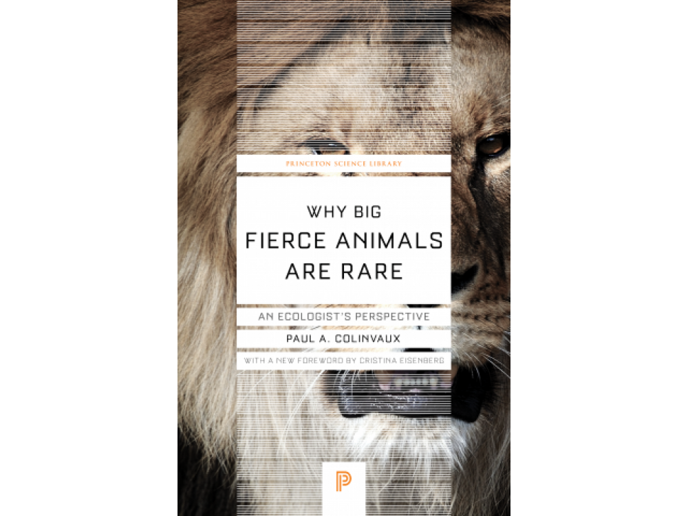 Why Big Fierce Animals Are Rare: An Ecologist's Perspective