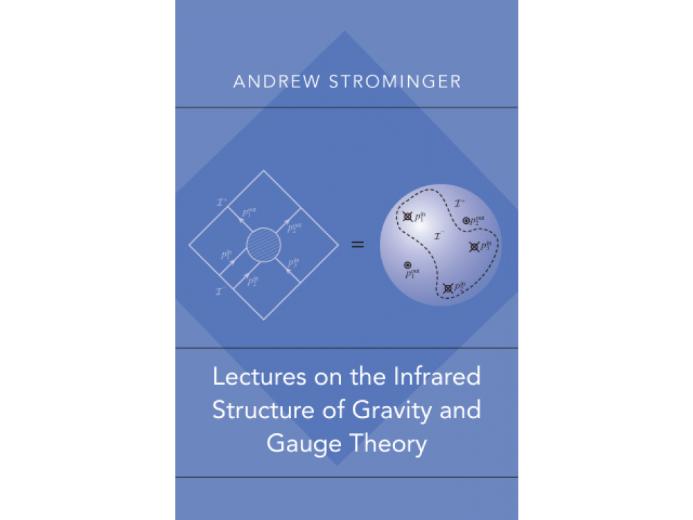 Lectures on the Infrated Structure of Gravity and Gauge Theory