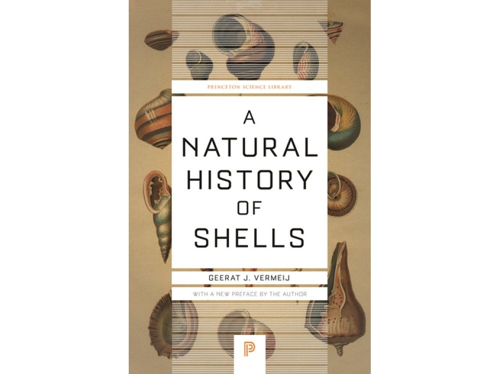 A Natural History of Shells