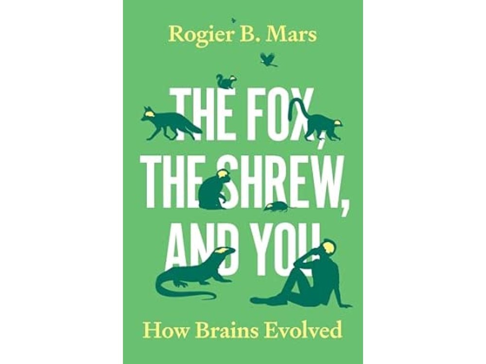 The Fox, the Shrew, and You: How Brains Evolved
