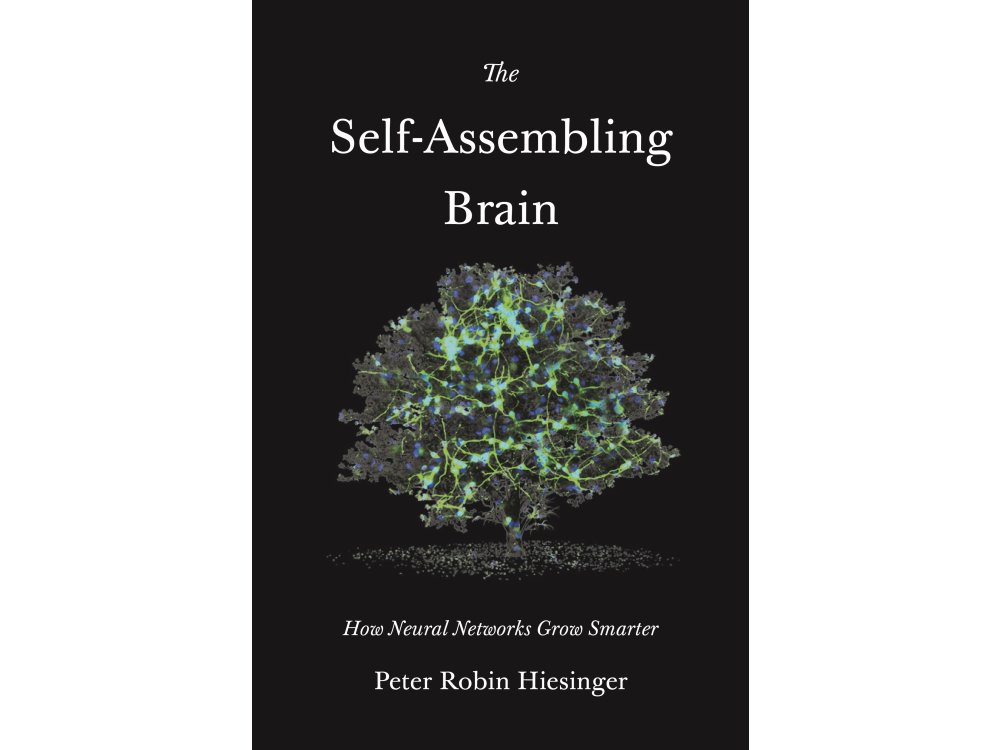 The Self-Assembling Brain: How Neural Networks Grow Smarter