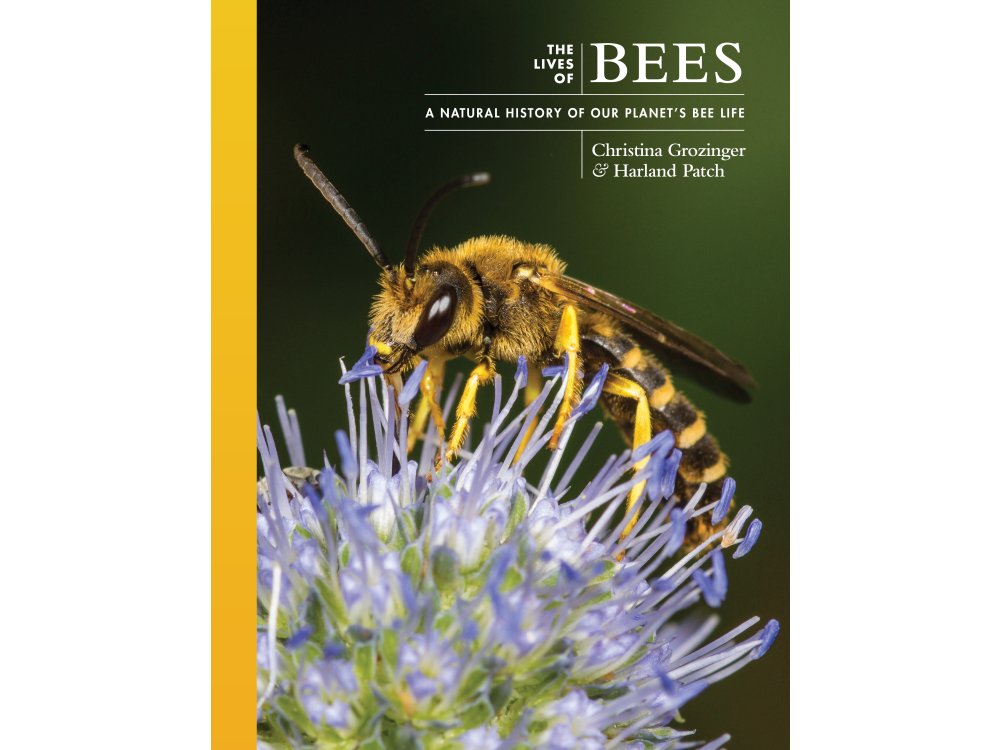 The Lives of Bees: A Natural History of Our Planet's Bee Life