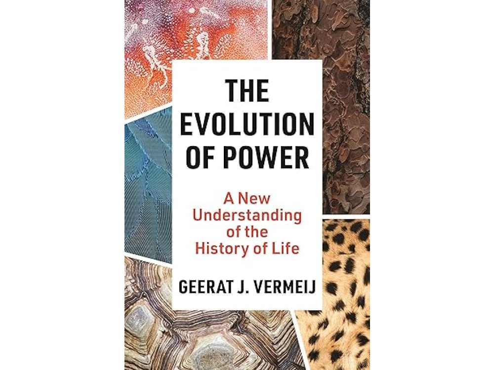 The Evolution of Power: A New Understanding of the History of Life