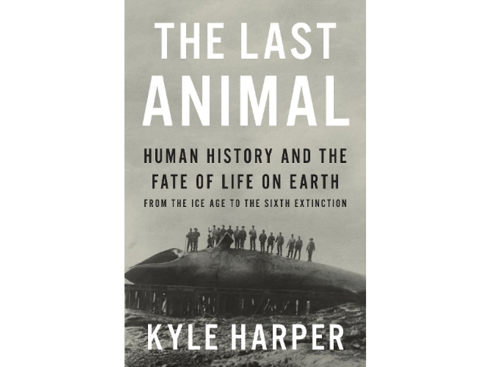 The Last Animal: Human History and the Fate of Life on Earth from the Ice Age to the Sixth Extinction