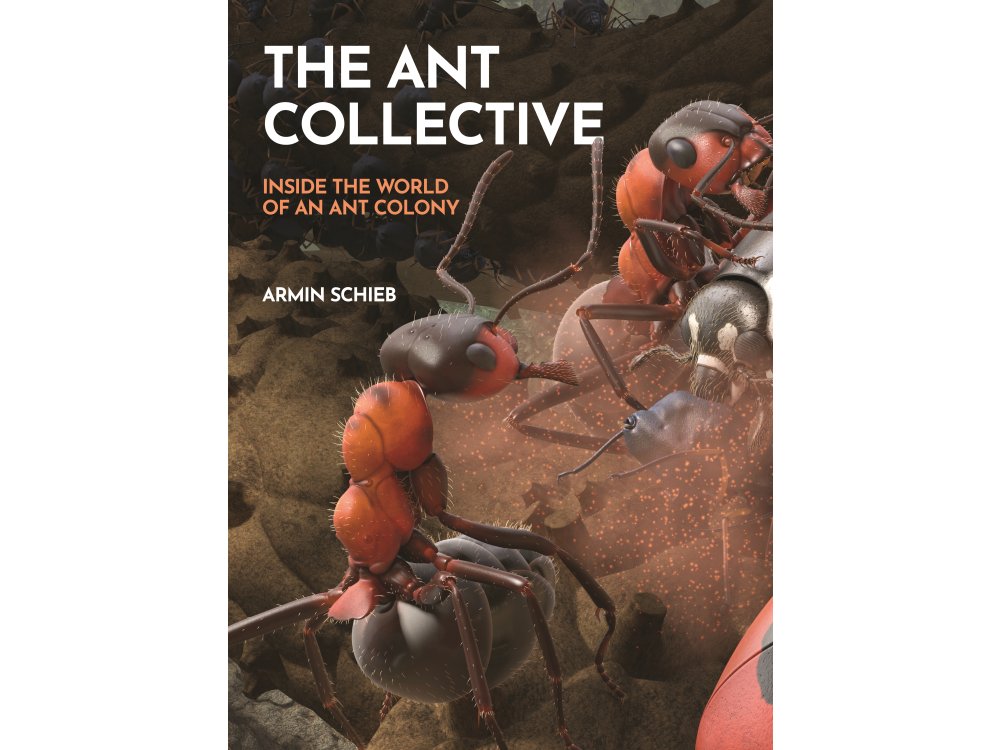 The Ant Collective: Inside the World of an Ant Colony