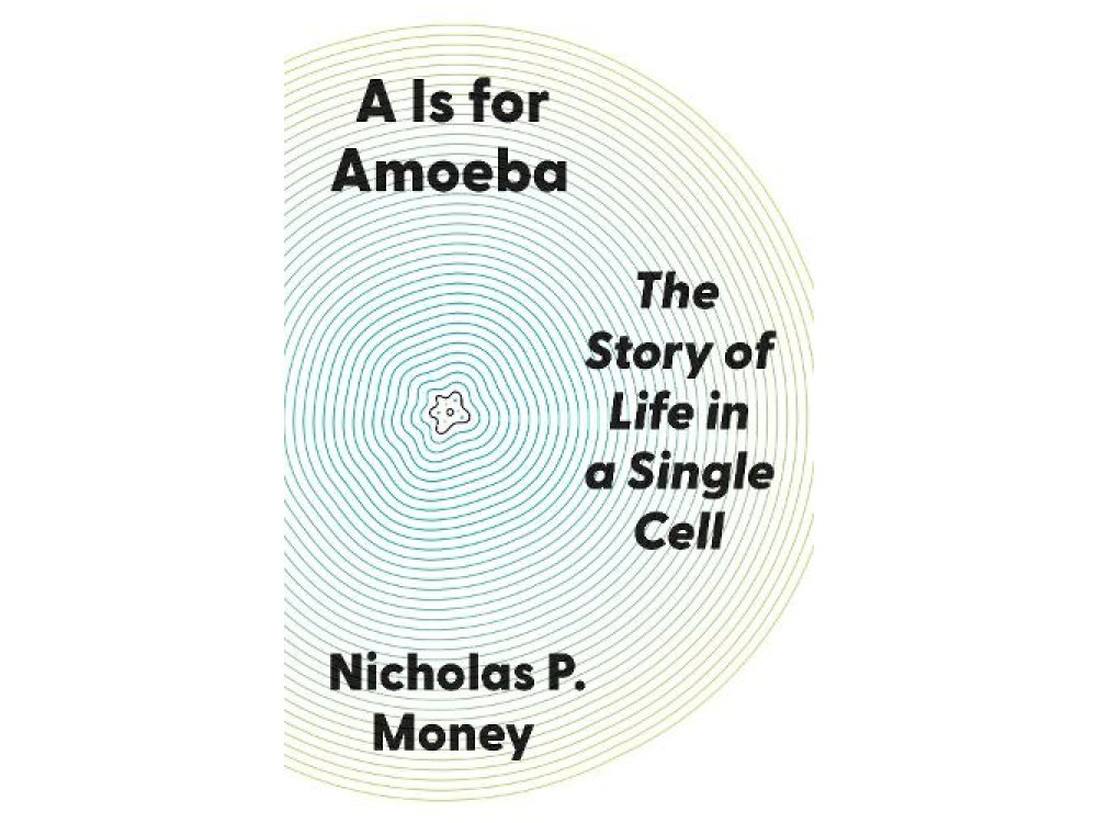 A Is for Amoeba: The Story of Life in a Single Cell