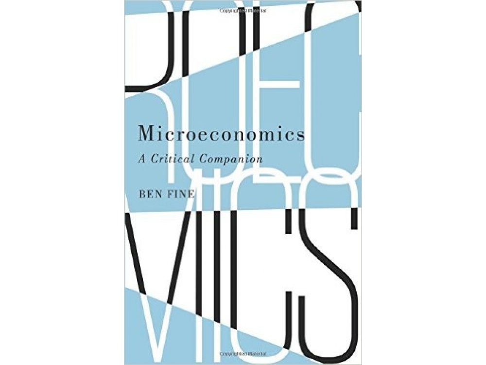 Microeconomics: A Critical Companion