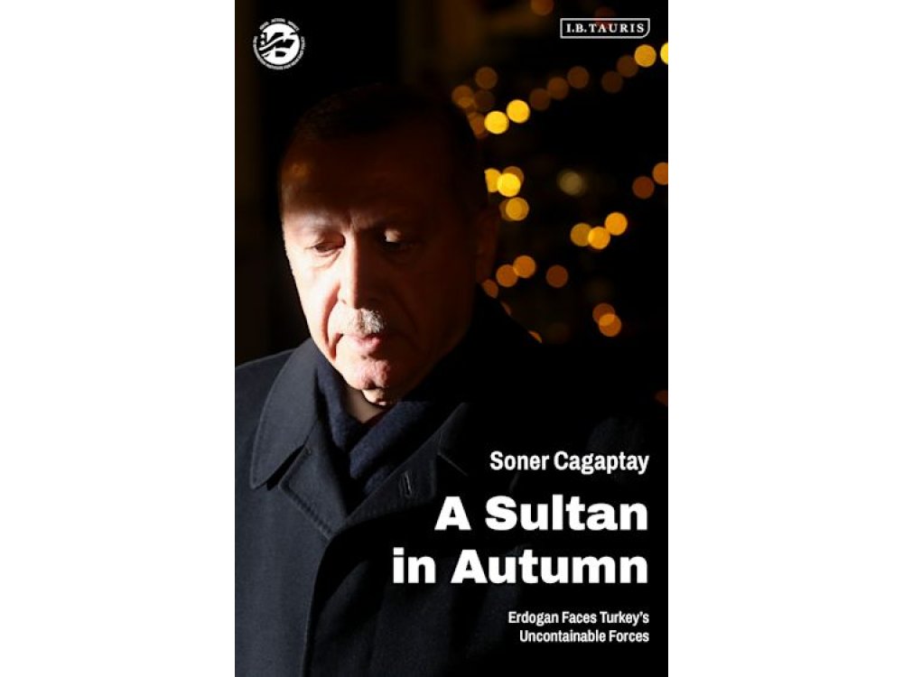 A Sultan in Autumn: Erdogan Faces Turkey's Uncontainable Forces