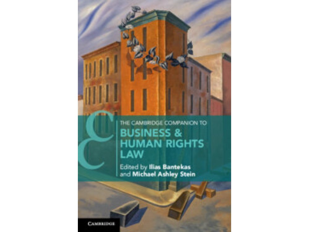 The Cambridge Companion to Business & Human Rights Law