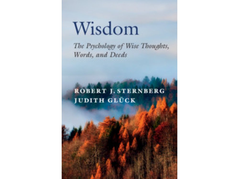 Wisdom: The Psychology of Wise Thoughts, Words, and Deeds