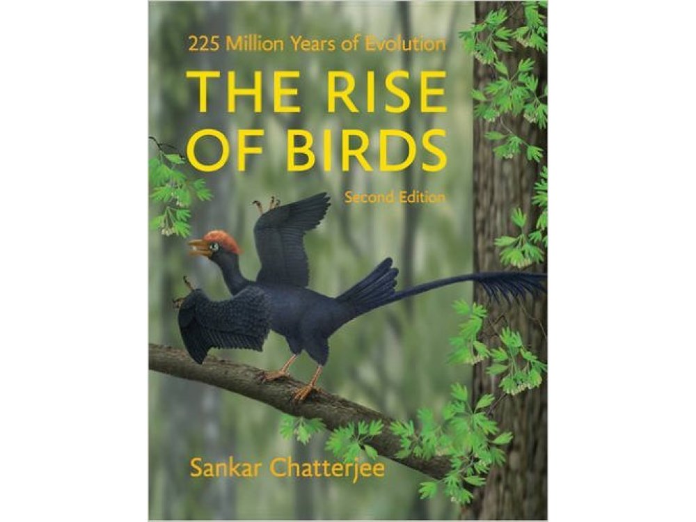 The Rise of Birds: 225 Million Years of Evolution