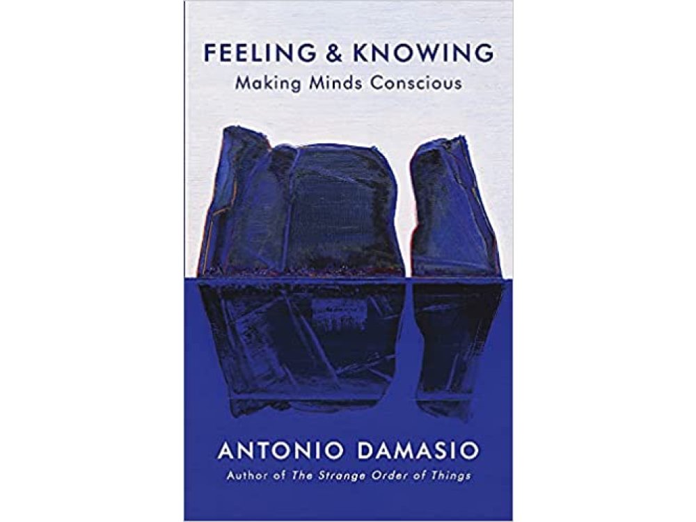 Feeling and Knowing: Making Minds Conscious