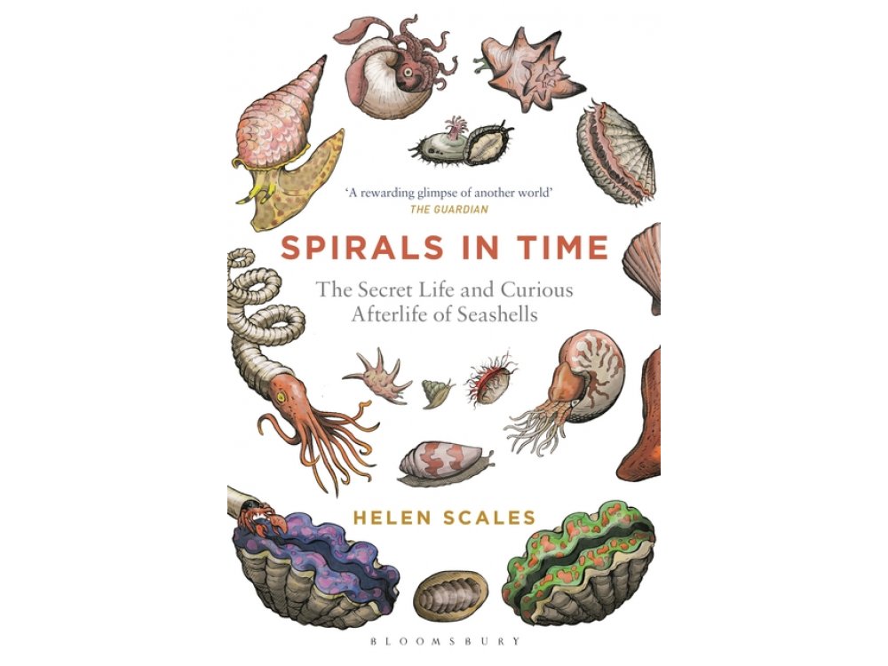 Spirals in Time: The Secret Life and Curious Afterlife of Seashells