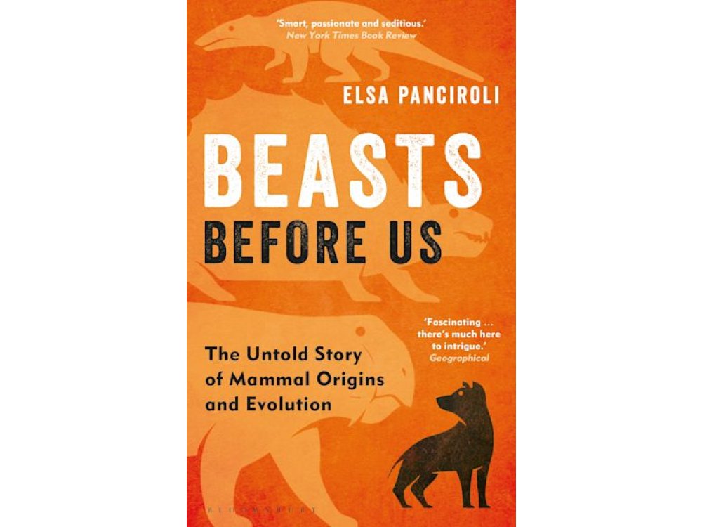 Beasts Before Us: The Untold Story of Mammal Origins and Evolution