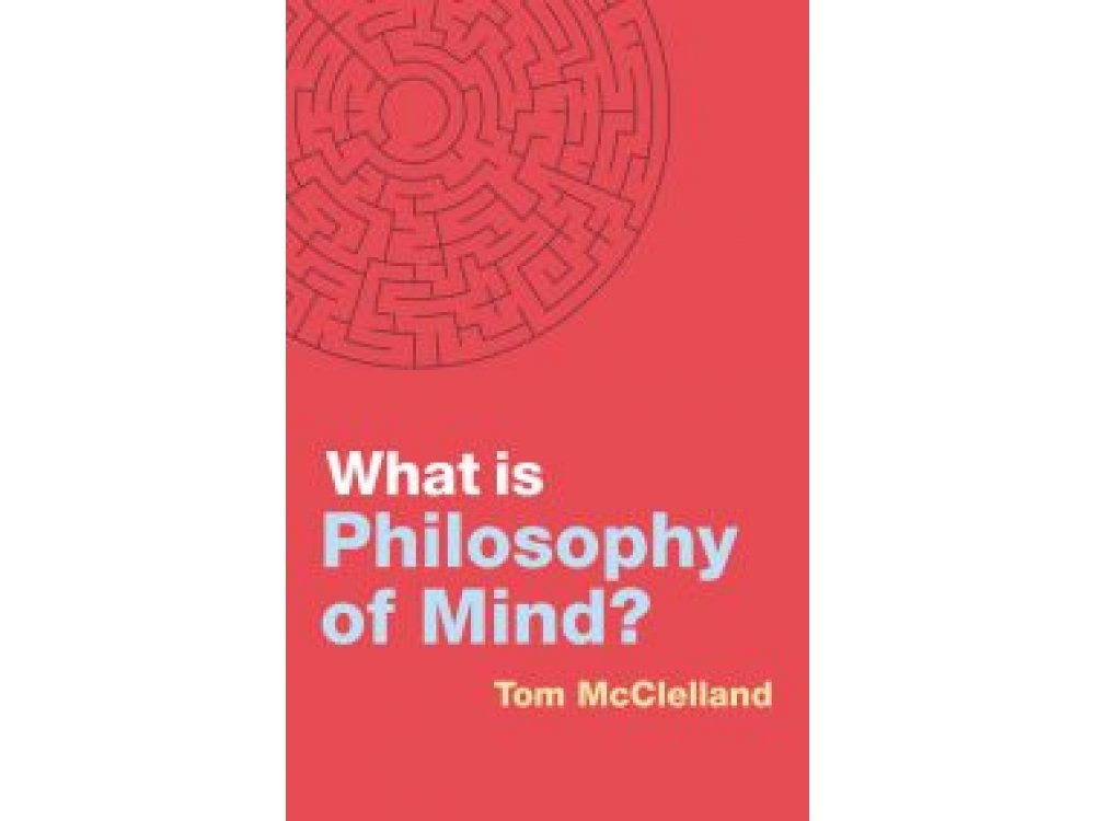 What is Philosophy of Mind?