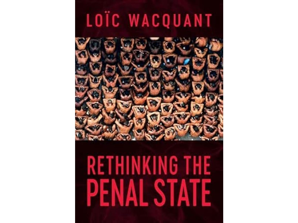 Rethinking the Penal State