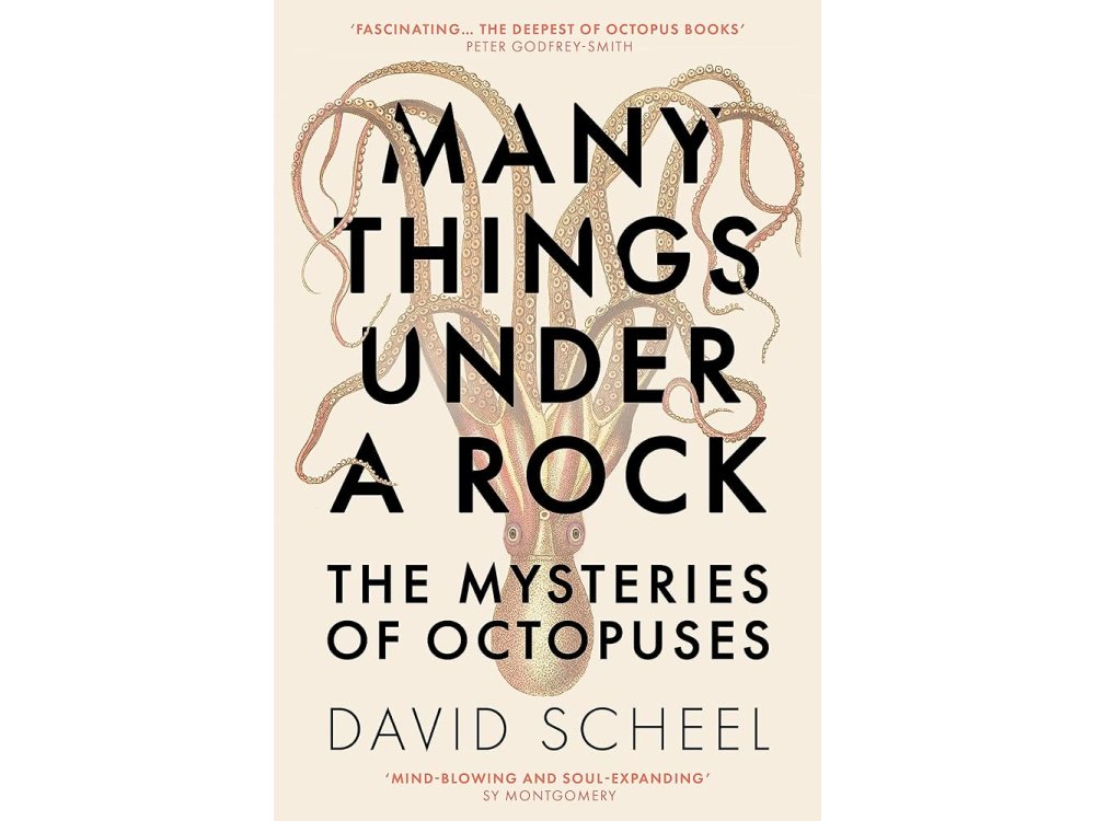 Many Things Under a Rock: The Mysteries of Octopuses