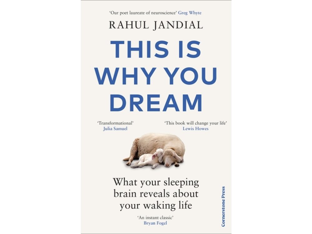 This Is Why You Dream: What Your Sleeping Brain Reveals About Your Waking Life